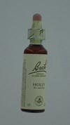 BACH FLOWER REMEDIE 15 HOLLY          20ML