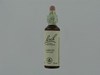 BACH FLOWER REMEDIE 19 LARCH          20ML