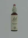 BACH FLOWER REMEDIE 21 MUSTARD        20ML
