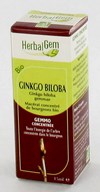 HERBALGEM GINKGO BILOBA        MACERAT 15ML