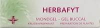 SORIA DERMOSOR HERBAFYT MONDGEL           SPRAY 5G