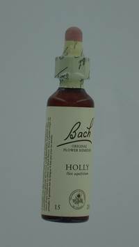 BACH FLOWER REMEDIE 15 HOLLY          20ML