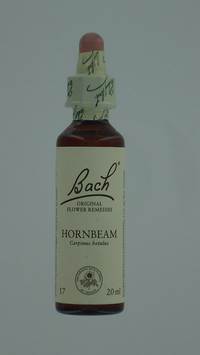 BACH FLOWER REMEDIE 17 HORNBEAM       20ML