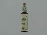 BACH FLOWER REMEDIE 19 LARCH          20ML