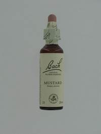 BACH FLOWER REMEDIE 21 MUSTARD        20ML