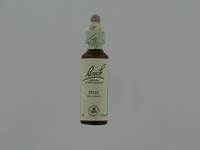 BACH FLOWER REMEDIE 24 PINE           20ML