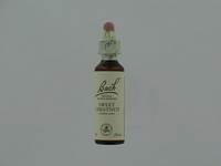 BACH FLOWER REMEDIE 30 SWEET CHESTNUT 20ML