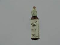 BACH FLOWER REMEDIE 31 VERVAIN        20ML