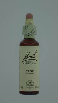 BACH FLOWER REMEDIE 32 VINE           20ML