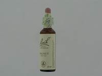 BACH FLOWER REMEDIE 33 WALNUT         20ML