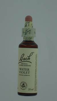 BACH FLOWER REMEDIE 34 WATER VIOLET   20ML