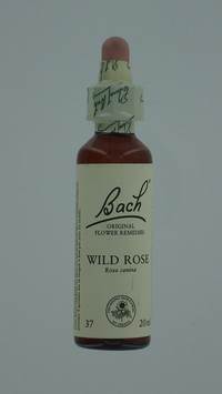 BACH FLOWER REMEDIE 37 WILD ROSE      20ML