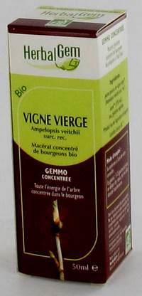 HERBALGEM VIGNE VIERGE         MACERAT 50ML