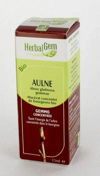 HERBALGEM AULNE                MACERAT 15ML