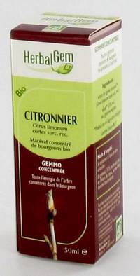 HERBALGEM CITROENBOOM         MACERAAT 50ML