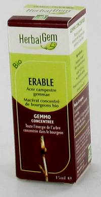 HERBALGEM ESDOORN             MACERAAT 15ML