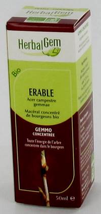 HERBALGEM ESDOORN             MACERAAT 50ML