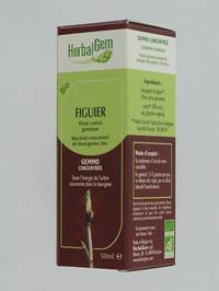 HERBALGEM VIJGENBOOM          MACERAAT 50ML