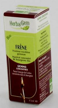 HERBALGEM ES                  MACERAAT 15ML