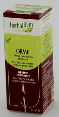 HERBALGEM OLM                 MACERAAT 15ML