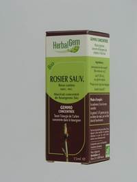 HERBALGEM HONDSROOS           MACERAAT 15ML