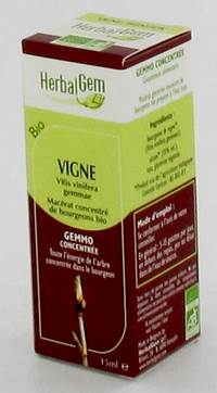 HERBALGEM WIJNSTOK            MACERAAT 15ML