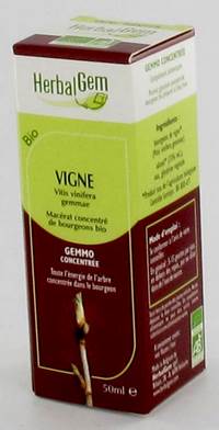 HERBALGEM VIGNE                MACERAT 50ML