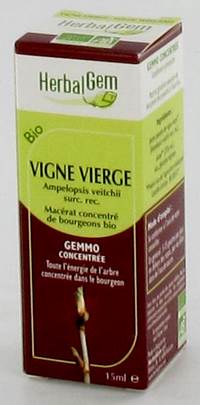 HERBALGEM WILDE WINGERD       MACERAAT 15ML