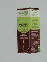 HERBALGEM WOLLIGE SNEEUWBAL   MACERAAT 15ML