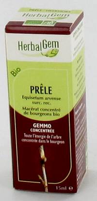 HERBALGEM PRELE                MACERAT 15ML