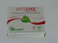 ARTECHOL                     GEL 60