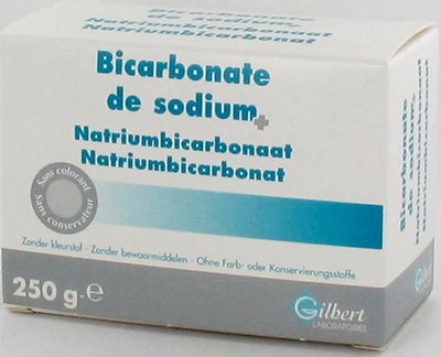 GILBERT NA BICARBONATE PDR     250G