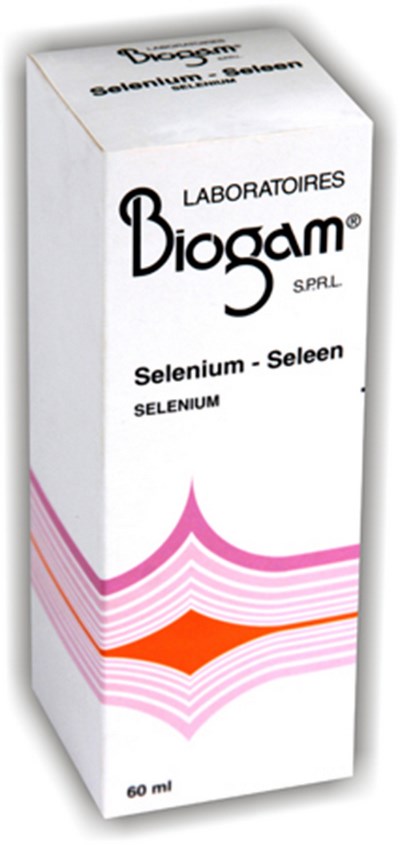 BIOGAM SE             FL 60ML