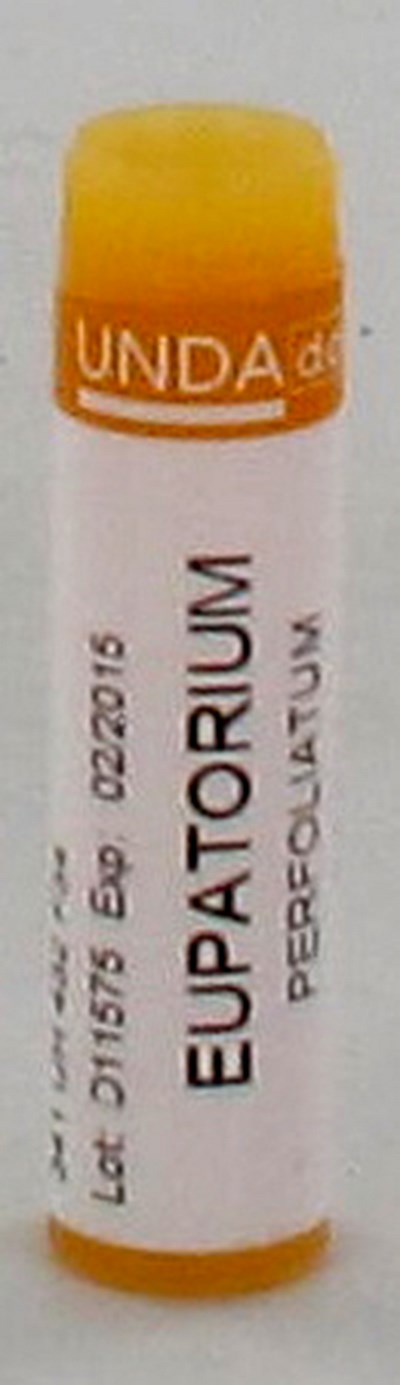 EUPATORIUM PERFOLIATUM 200K GL BOIRON EUPATORIUM PERFOLIATUM 200K GL BOIRON