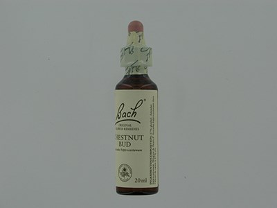 BACH FLOWER REMEDIE 07 CHESTNUT BUD 20ML BACH FLOWER REMEDIE 07 CHESTNUT BUD 20ML