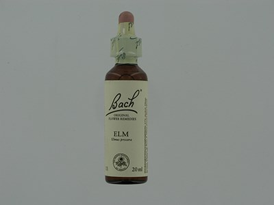 BACH FLOWER REMEDIE 11 ELM 20ML BACH FLOWER REMEDIE 11 ELM 20ML