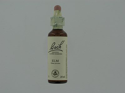 BACH FLOWER REMEDIE 11 ELM            20ML