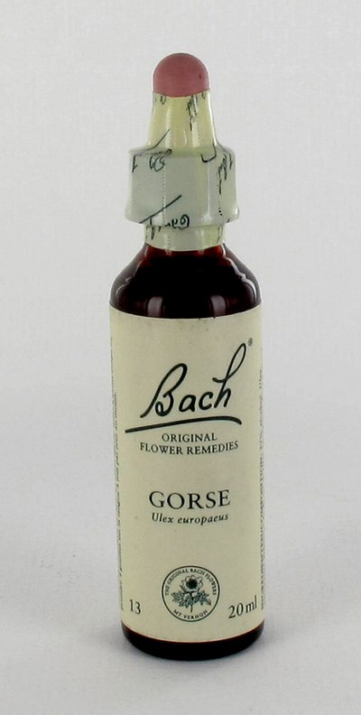 BACH FLOWER REMEDIE 13 GORSE 20ML BACH FLOWER REMEDIE 13 GORSE 20ML
