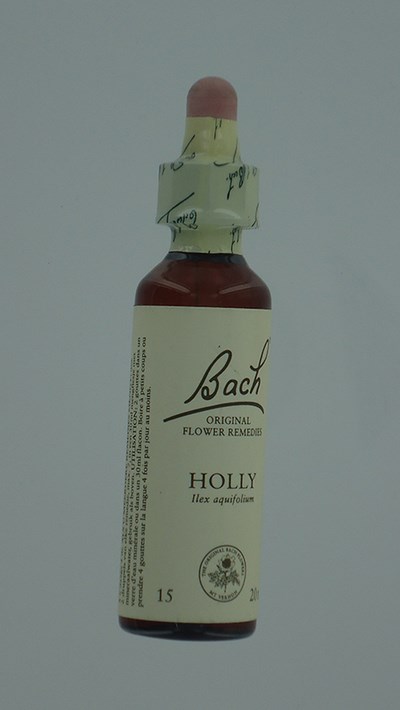 BACH FLOWER REMEDIE 15 HOLLY 20ML BACH FLOWER REMEDIE 15 HOLLY 20ML