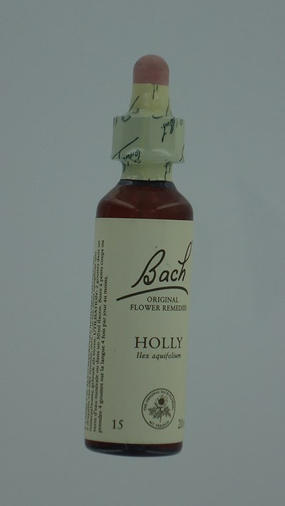 BACH FLOWER REMEDIE 15 HOLLY          20ML