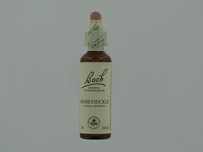 BACH FLOWER REMEDIE 16 HONEYSUCKLE 20ML BACH FLOWER REMEDIE 16 HONEYSUCKLE 20ML