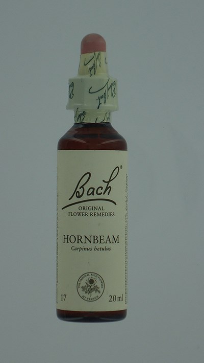 BACH FLOWER REMEDIE 17 HORNBEAM 20ML BACH FLOWER REMEDIE 17 HORNBEAM 20ML