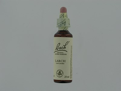 BACH FLOWER REMEDIE 19 LARCH 20ML BACH FLOWER REMEDIE 19 LARCH 20ML