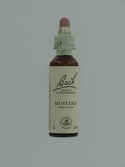 BACH FLOWER REMEDIE 21 MUSTARD 20ML BACH FLOWER REMEDIE 21 MUSTARD 20ML