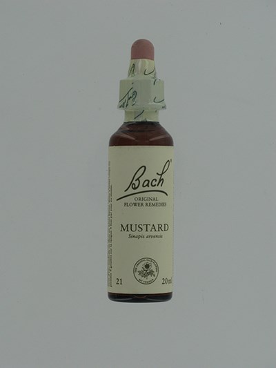 BACH FLOWER REMEDIE 21 MUSTARD        20ML