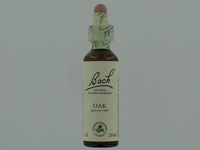 BACH FLOWER REMEDIE 22 OAK 20ML BACH FLOWER REMEDIE 22 OAK 20ML