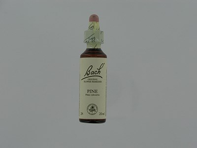 BACH FLOWER REMEDIE 24 PINE 20ML BACH FLOWER REMEDIE 24 PINE 20ML