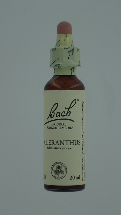 BACH FLOWER REMEDIE 28 SCLERANTHUS 20ML BACH FLOWER REMEDIE 28 SCLERANTHUS 20ML