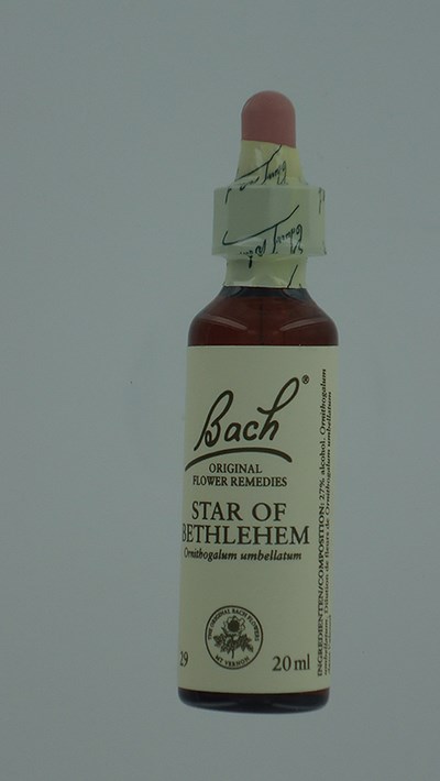 BACH FLOWER REMEDIE 29 STAR BETHLEHEM 20ML BACH FLOWER REMEDIE 29 STAR BETHLEHEM 20ML
