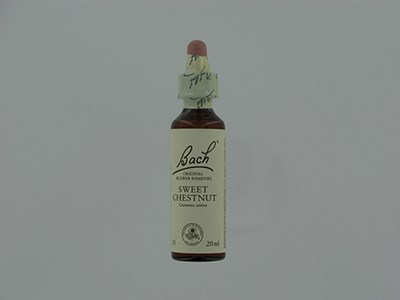 BACH FLOWER REMEDIE 30 SWEET CHESTNUT 20ML BACH FLOWER REMEDIE 30 SWEET CHESTNUT 20ML